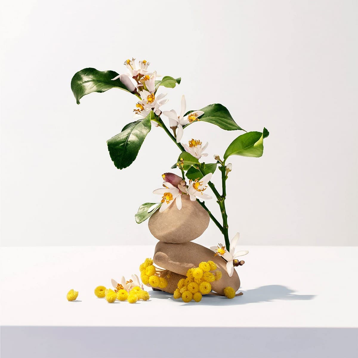 Gel de Ducha Roger & Gallet Néroli (200 ml) - Image 2