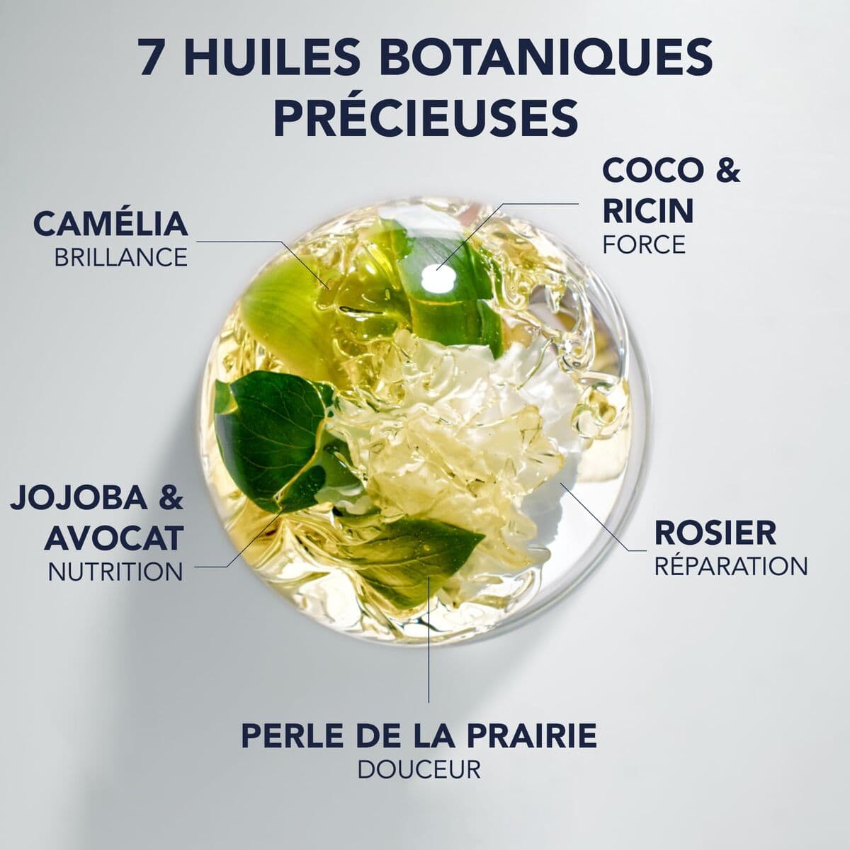 Supliment Alimentar Phyto Paris NUTRITION 100 ml - Image 3