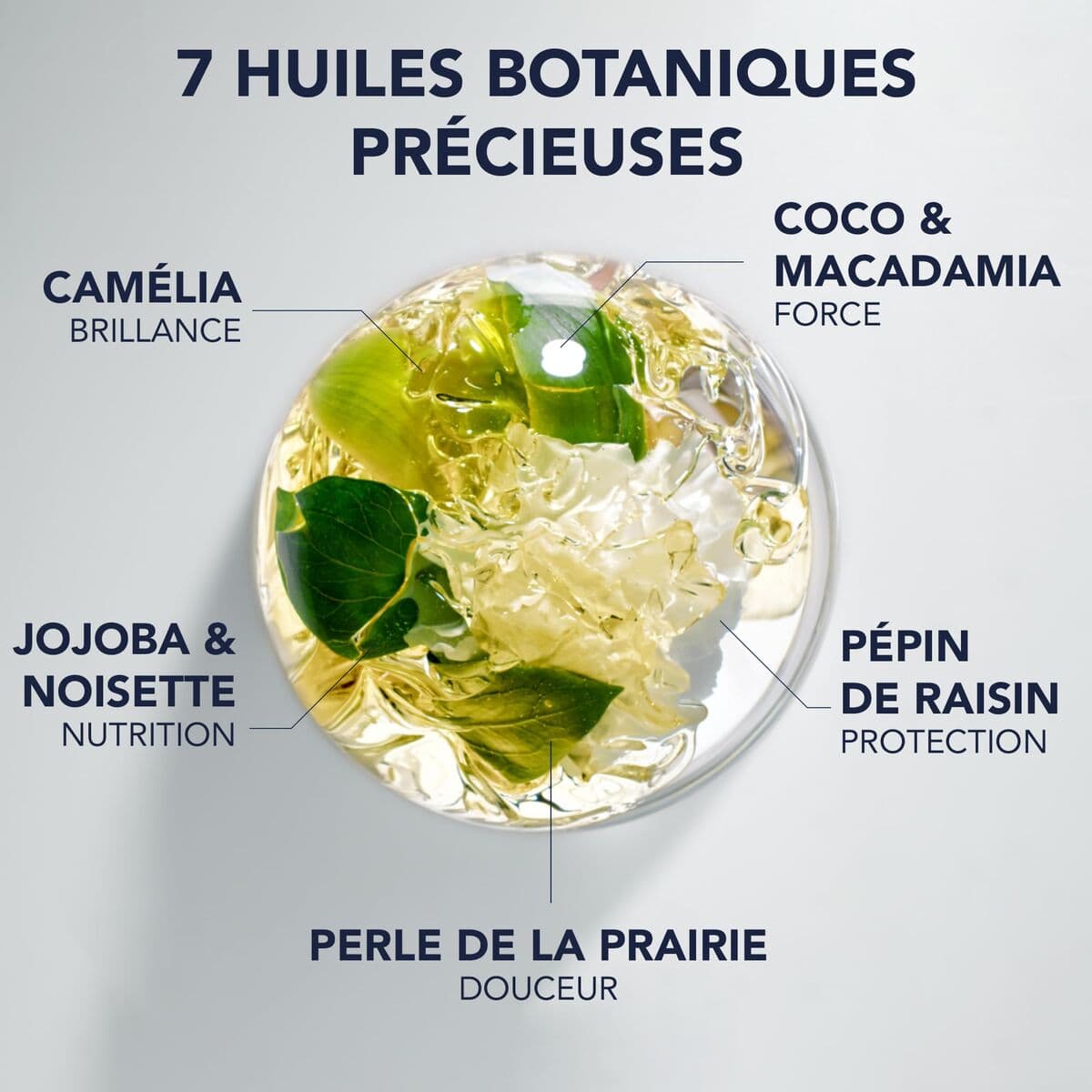 Supliment Alimentar Phyto Paris NUTRITION 100 ml - Image 3