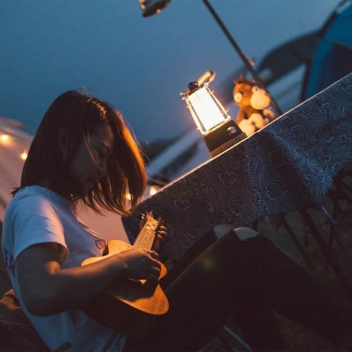 Latarnia Lumisky WILDY - Image 2