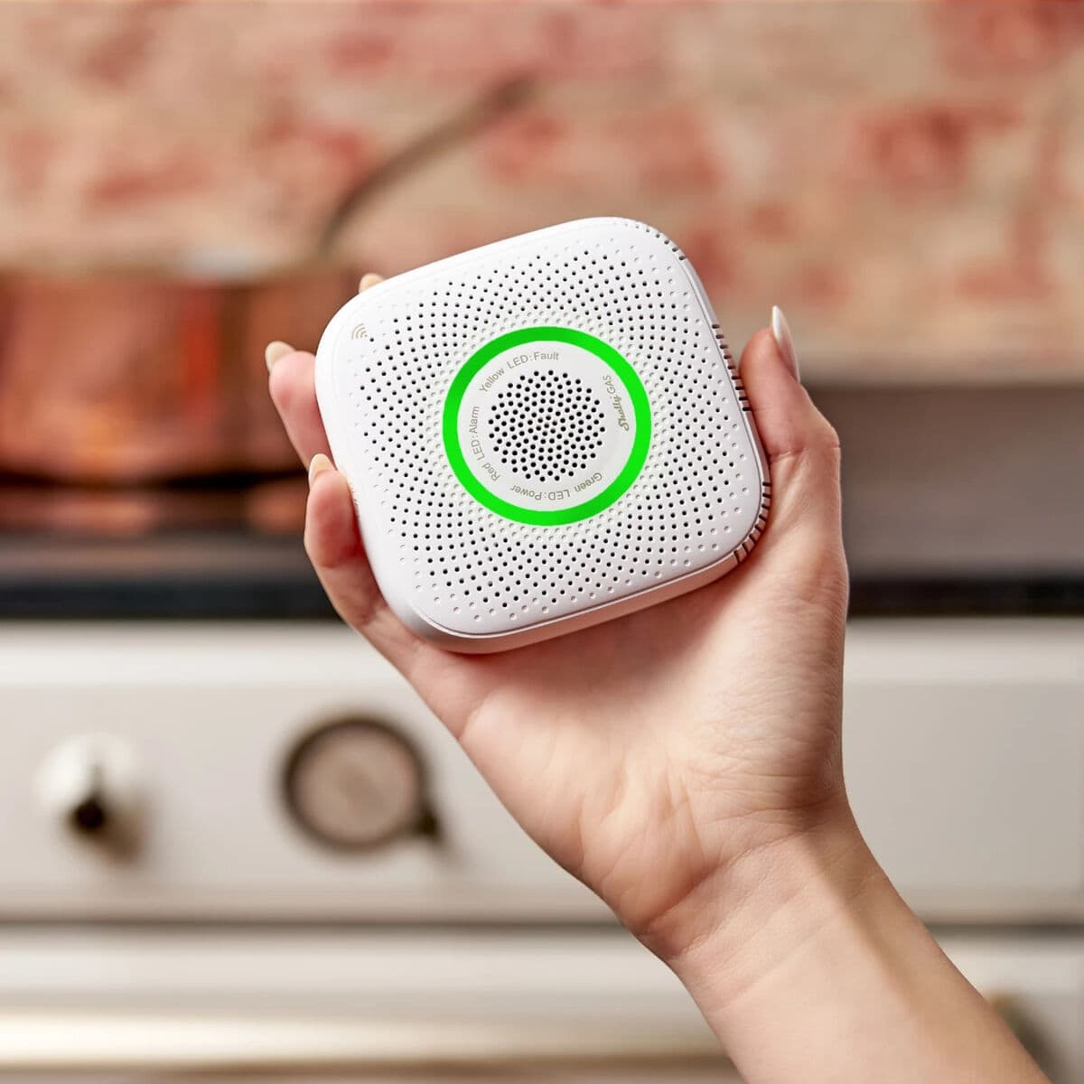 Nadzorna video kamera Shelly GAS LPG - Image 4