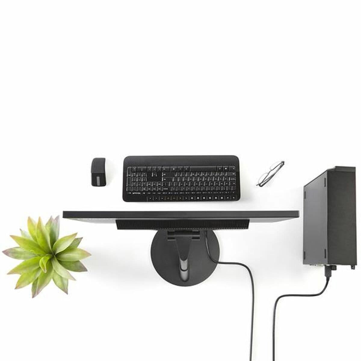 Displayport til DVI-adapter Startech DP2DVI2MM6           (1,8 m) Svart 1.8 m - Image 3