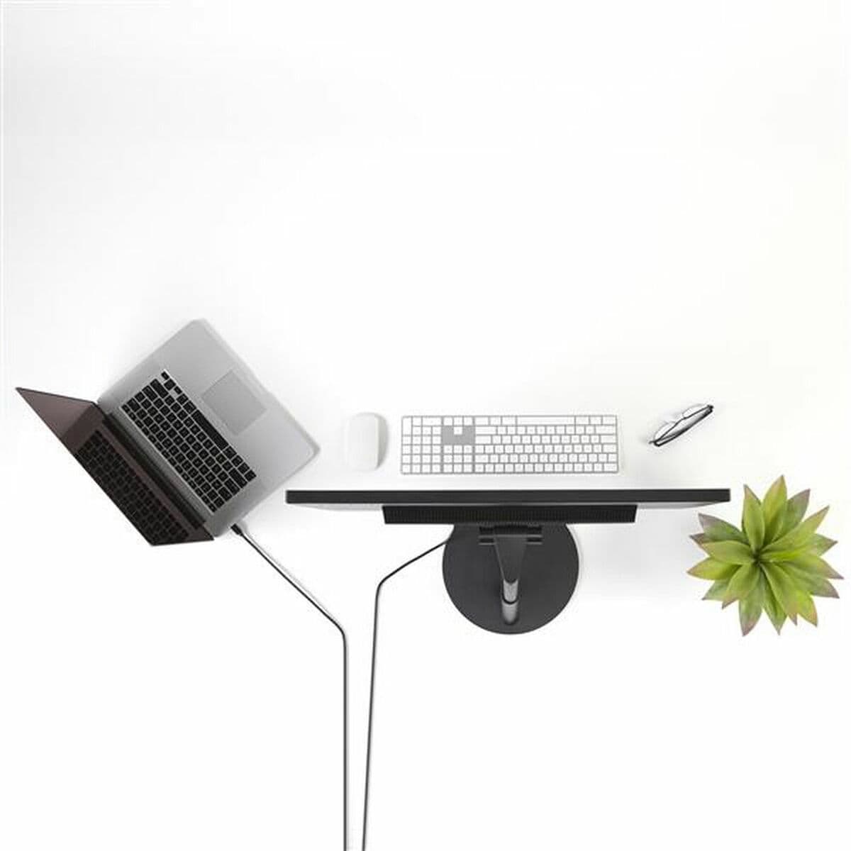 DisplayPort-Kabel Startech MDP2DPMM10           3 m 4K Ultra HD Schwarz - Image 3