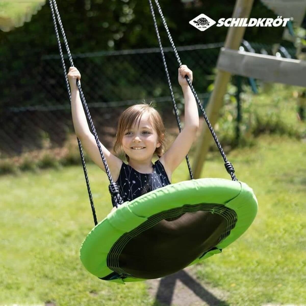 Balancín Schildkröt Nido de pájaro - Image 5