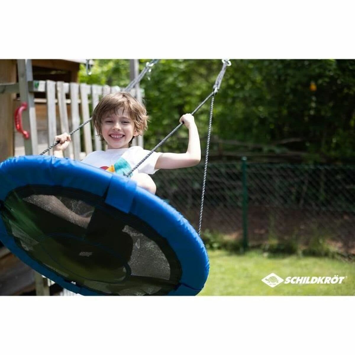 Balansoar Schildkröt - Image 4