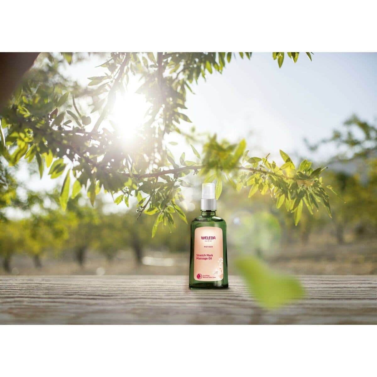 Anti-Stretch Mark Olja Weleda 100 ml - Image 3