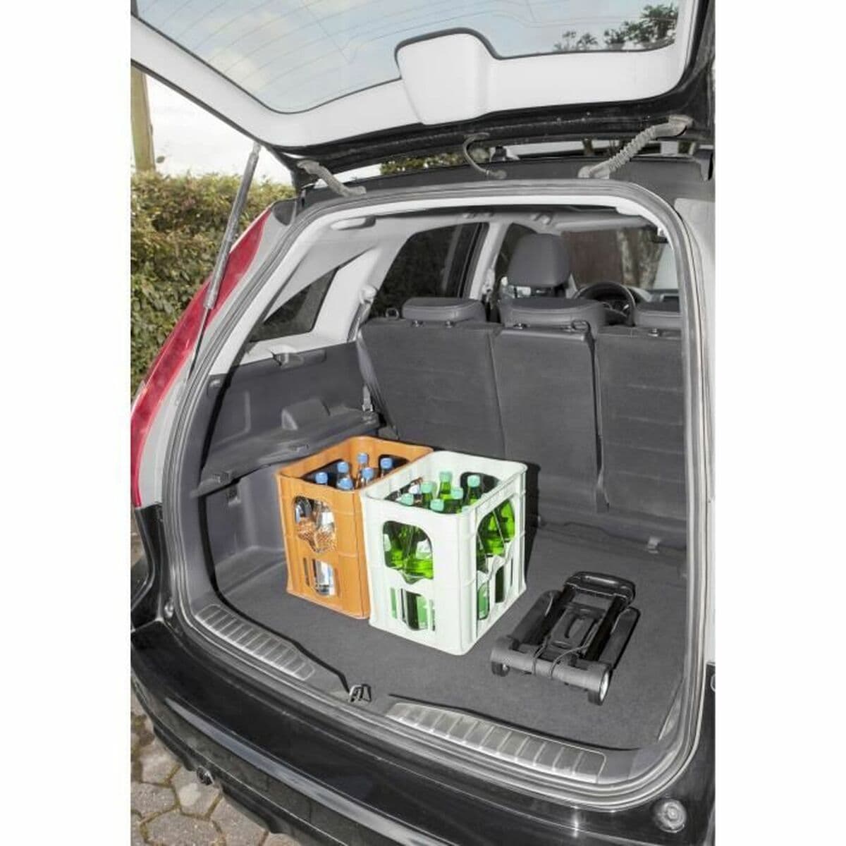 Karutis Meister DIABLO PL 8985730 Juoda - Image 17