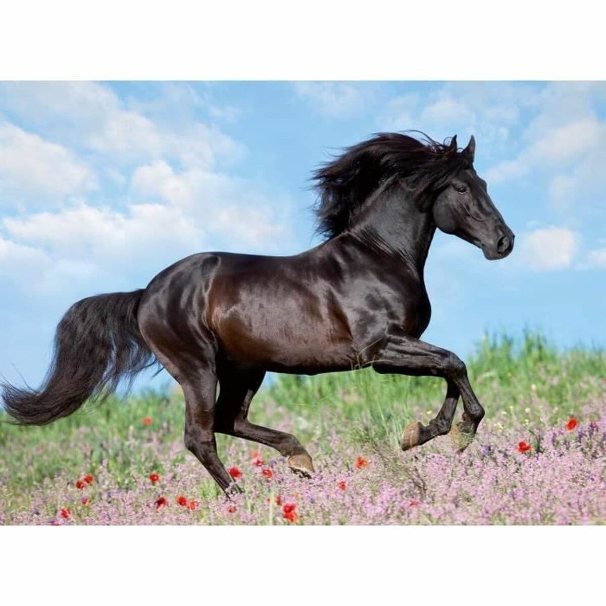 Pussel Ravensburger 12803 Black Stallion XXL 200 Delar - Image 2