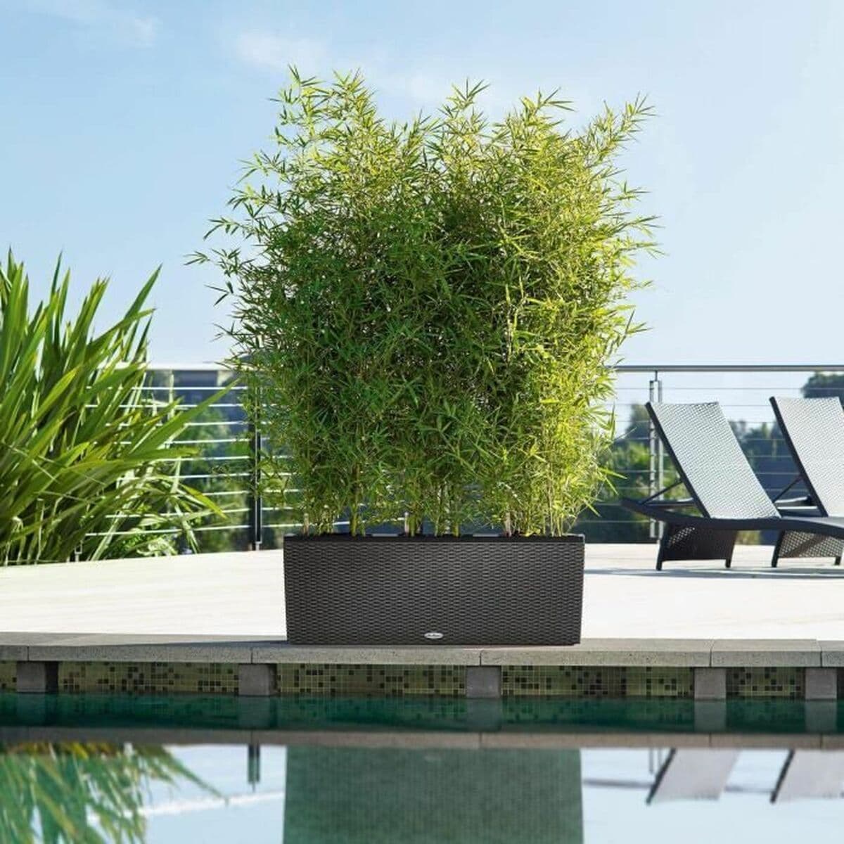 Posuda Lechuza 100 x 32 x 34 cm Plastika Pravokutno - Image 3