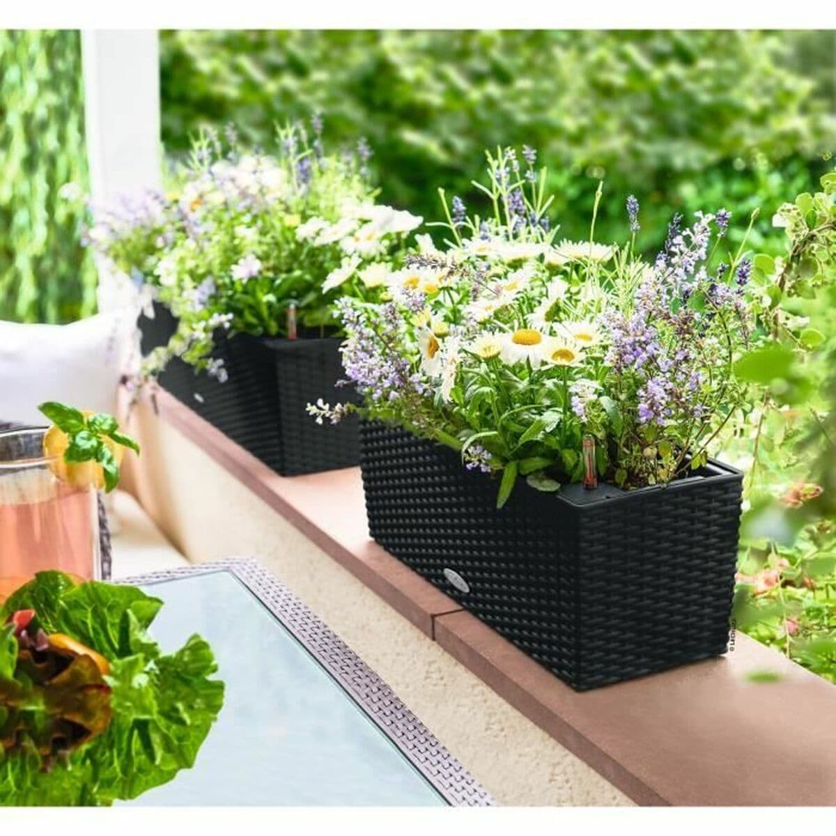 Maceta Lechuza - Image 2