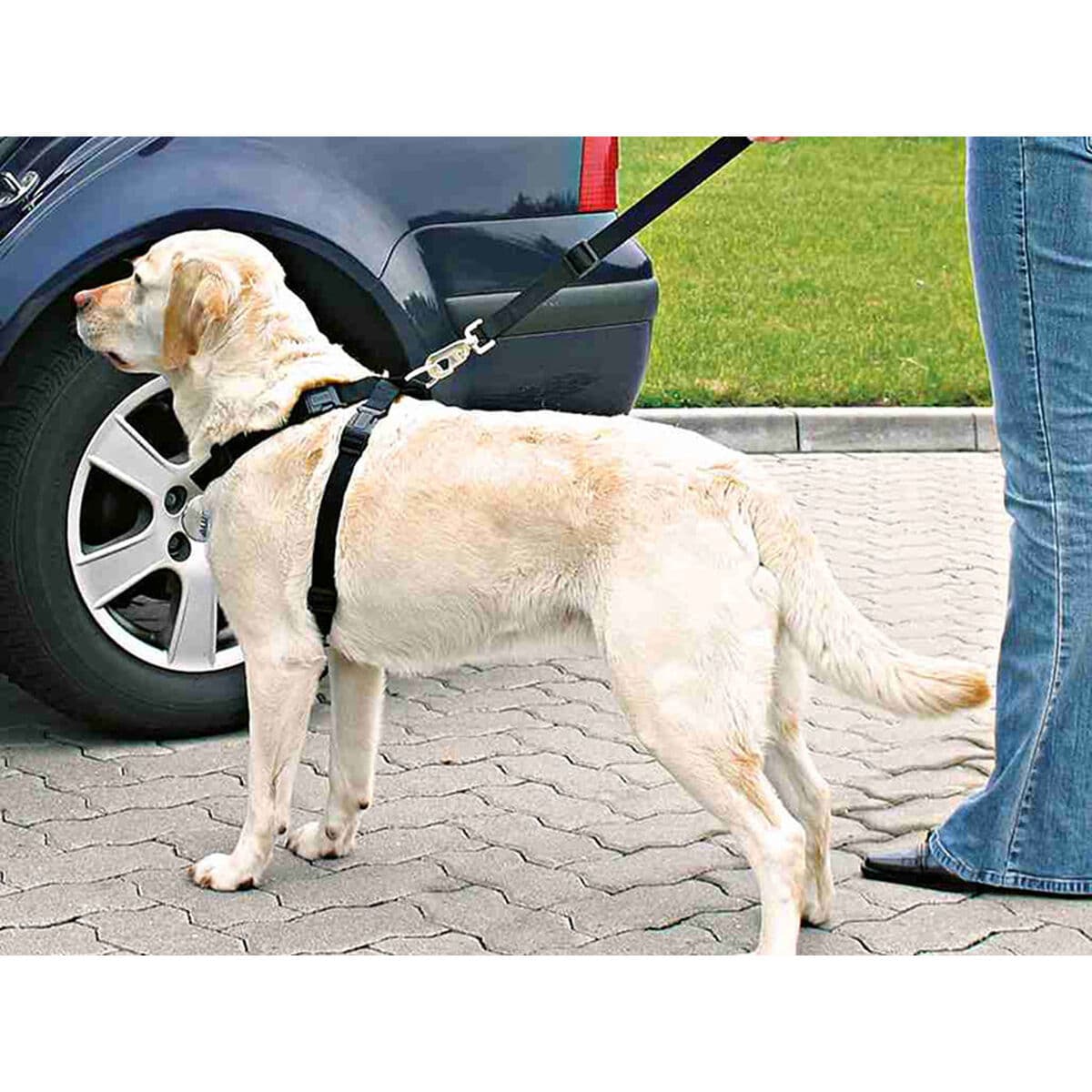 Szelki dla psa Trixie Czarny L - Image 2