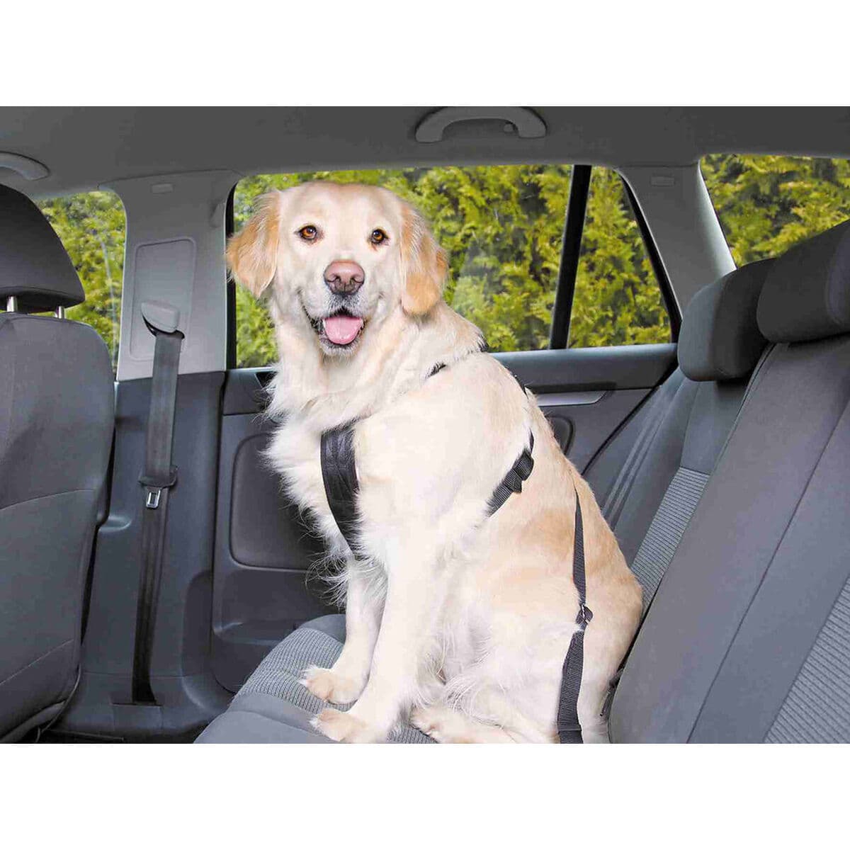 Szelki dla psa Trixie Czarny L - Image 3