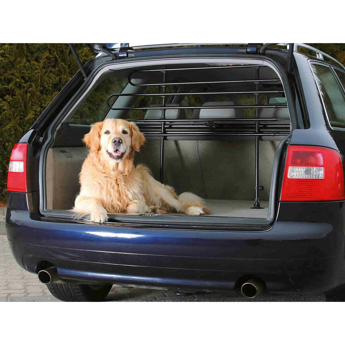 Valla Trixie - Image 3