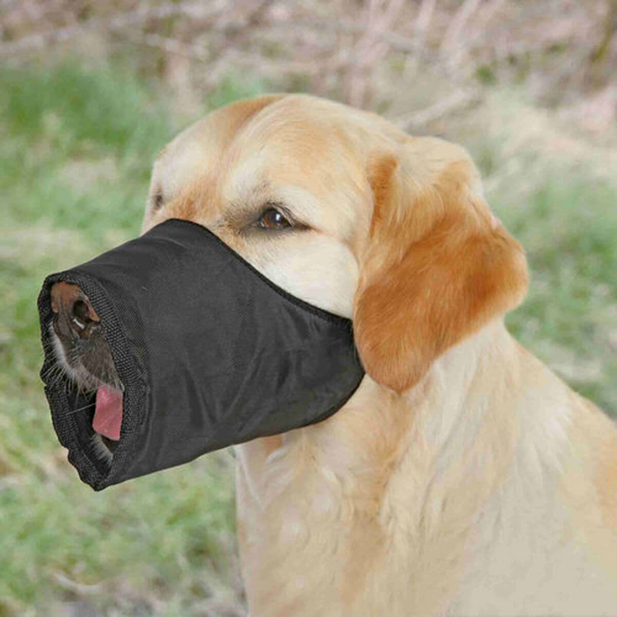 Maulkorb Trixie Schwarz L XL L/XL - Image 4