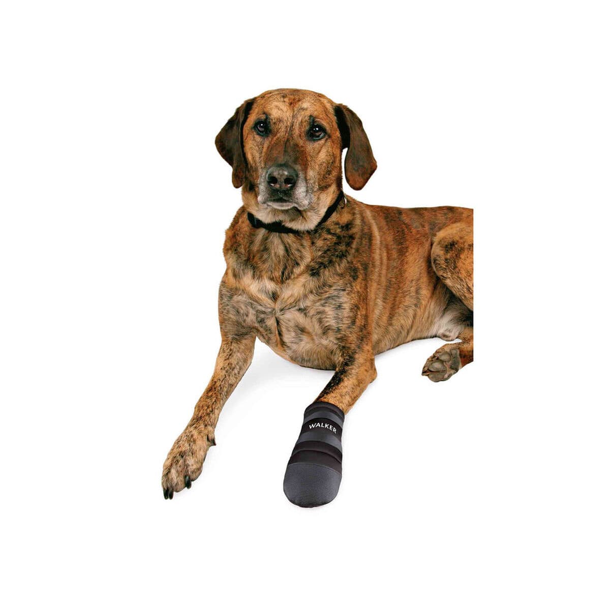Kurpes Trixie Walker Care Melns XXL - Image 3