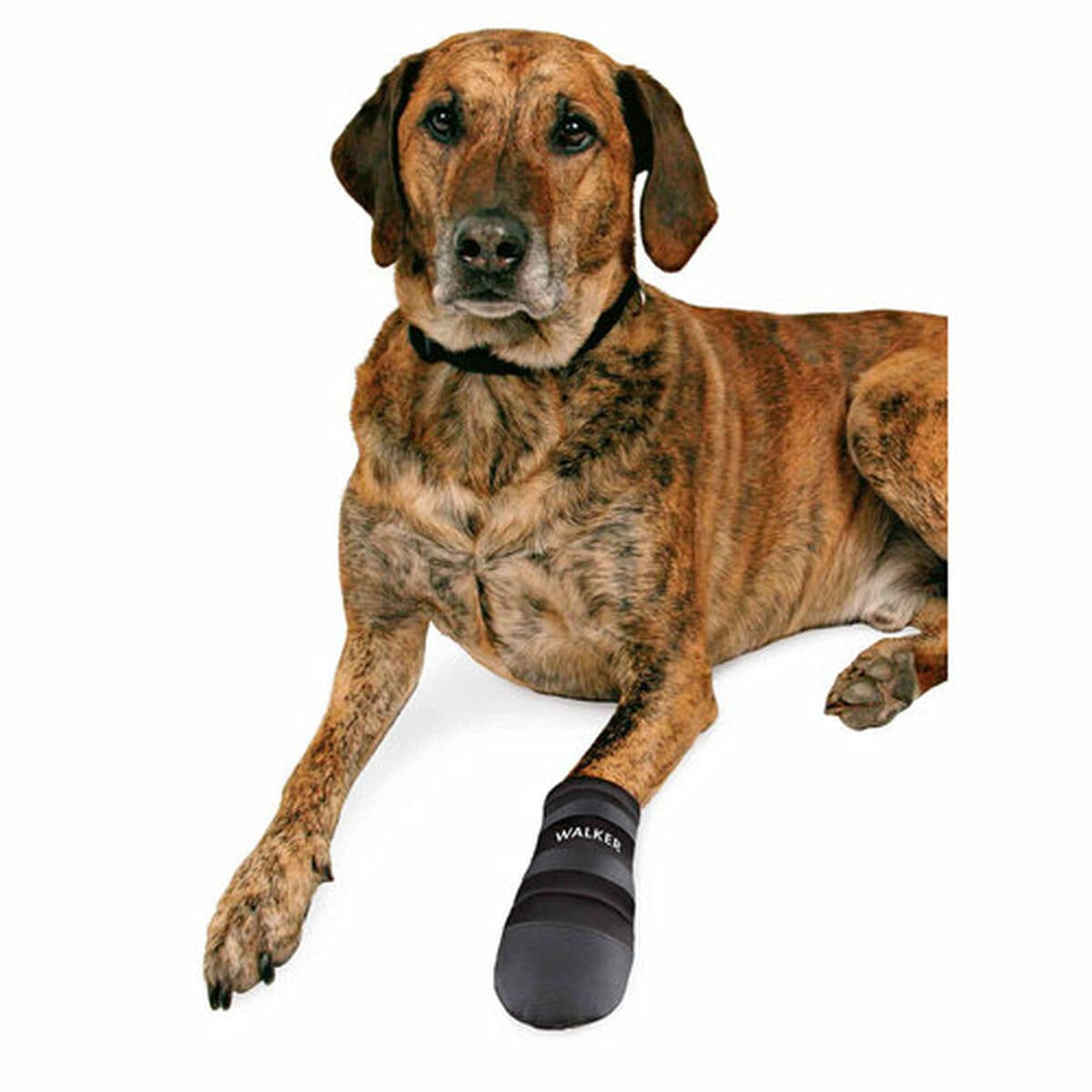 Kurpes Trixie Walker Care Melns XXL - Image 4