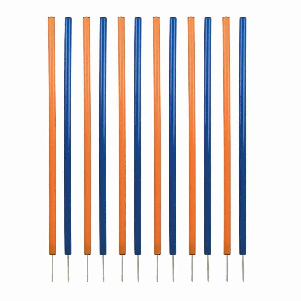 Treeningmänguasi Trixie