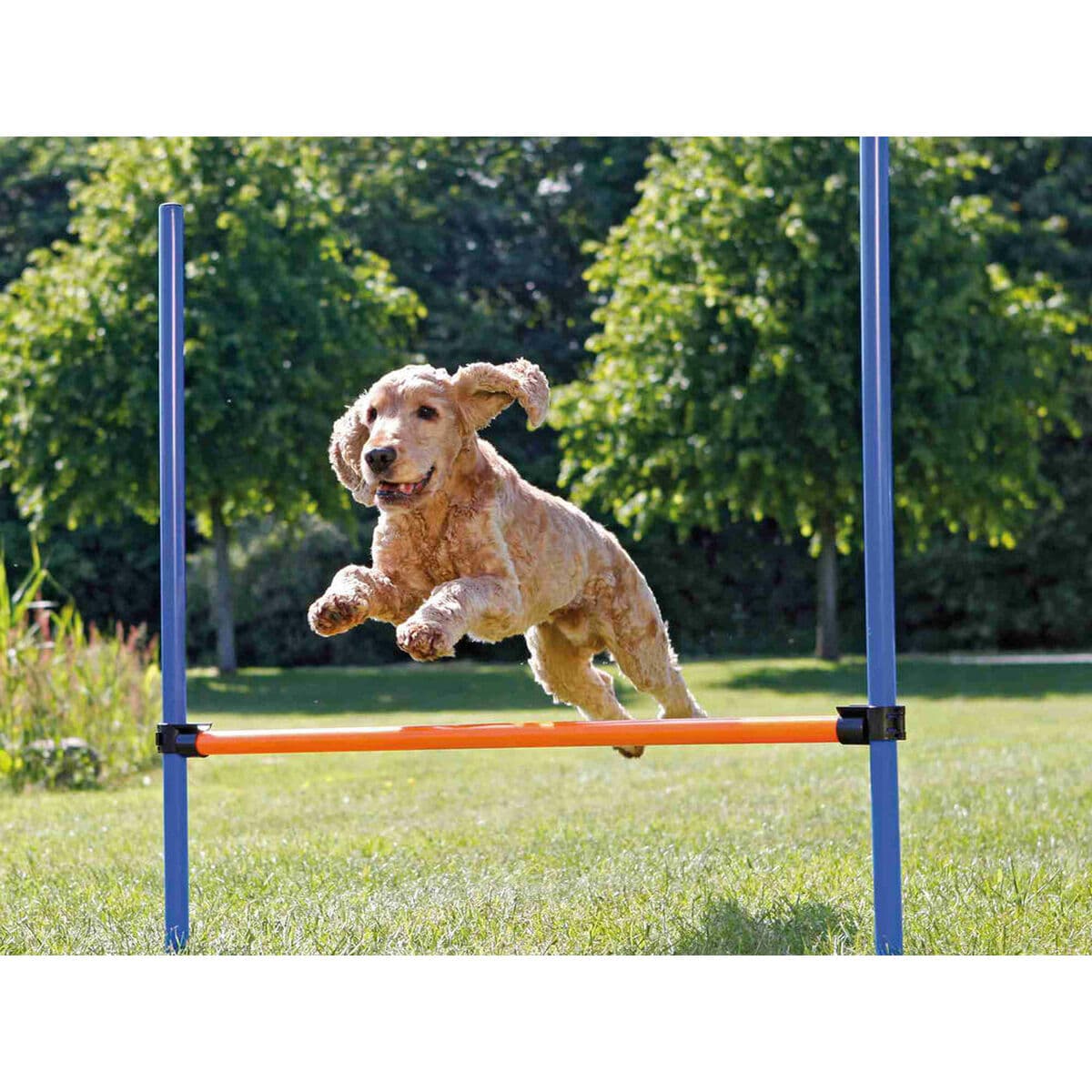 Training toy Trixie - Image 2