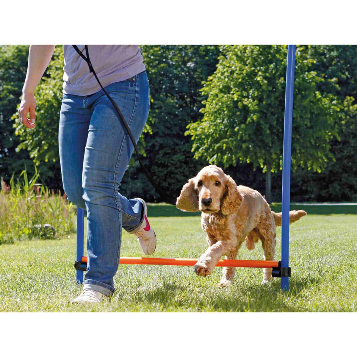 Training toy Trixie - Image 4