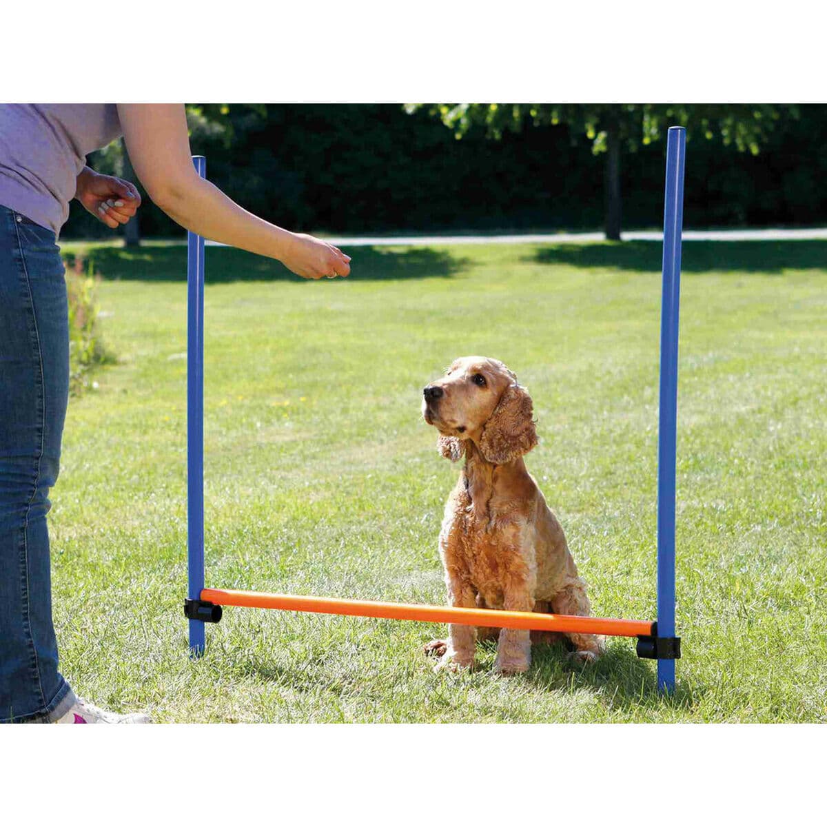 Training toy Trixie - Image 5