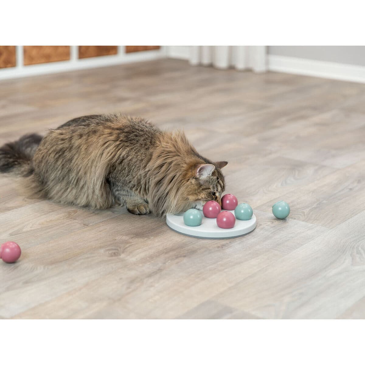 Speelmat en beloningen voor huisdieren Trixie - Image 19