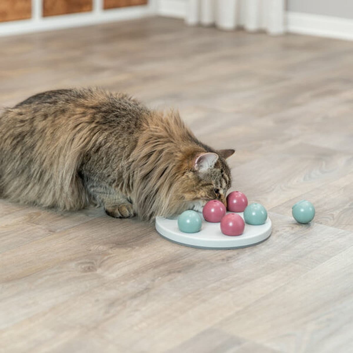 Speelmat en beloningen voor huisdieren Trixie - Image 20