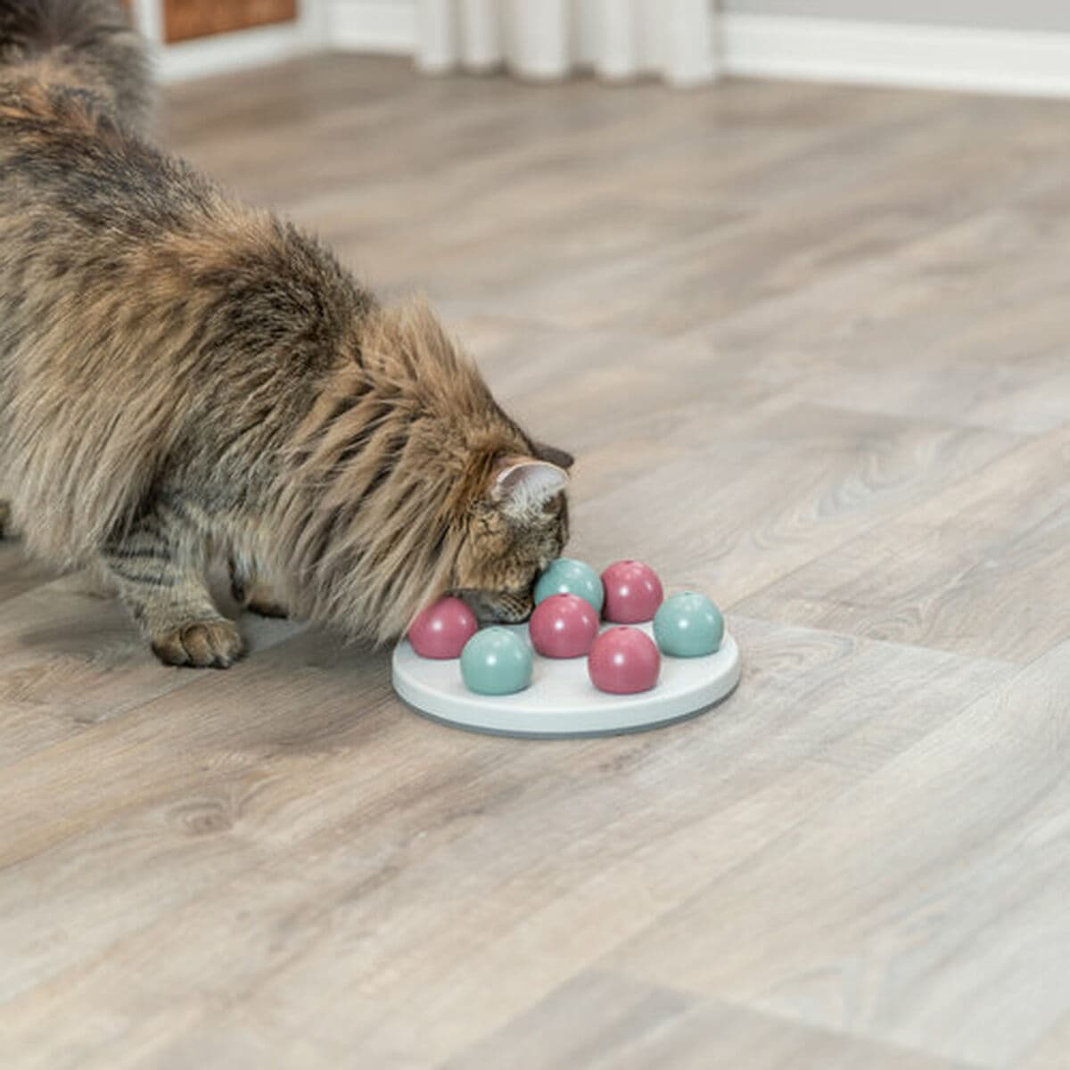 Speelmat en beloningen voor huisdieren Trixie - Image 22