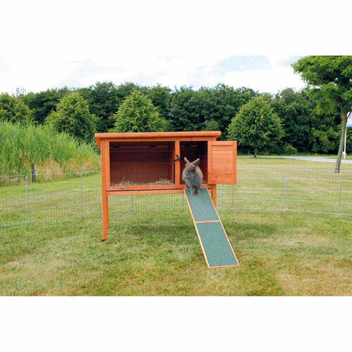 Prijenosna rampa Trixie 20 × 50 CM - Image 4