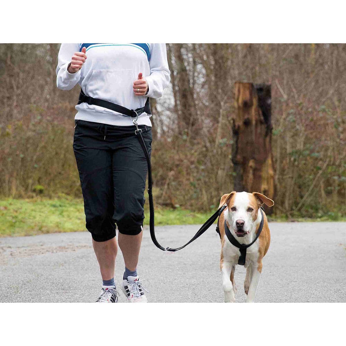 Rihm Trixie Must - Image 3