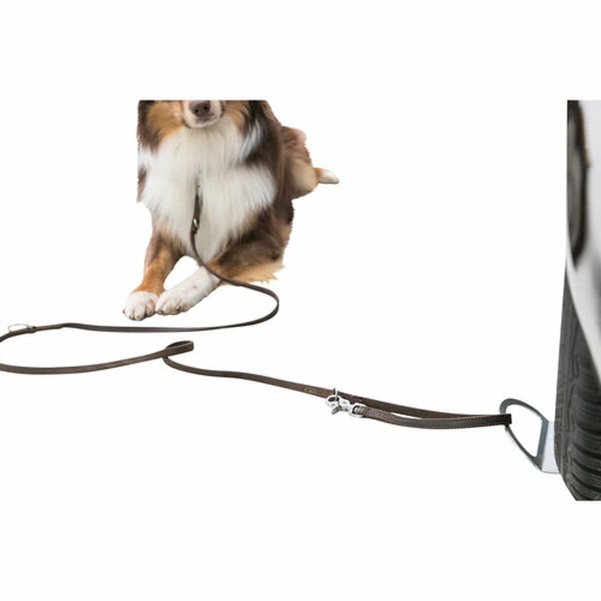 Aparca perros Trixie - Image 14