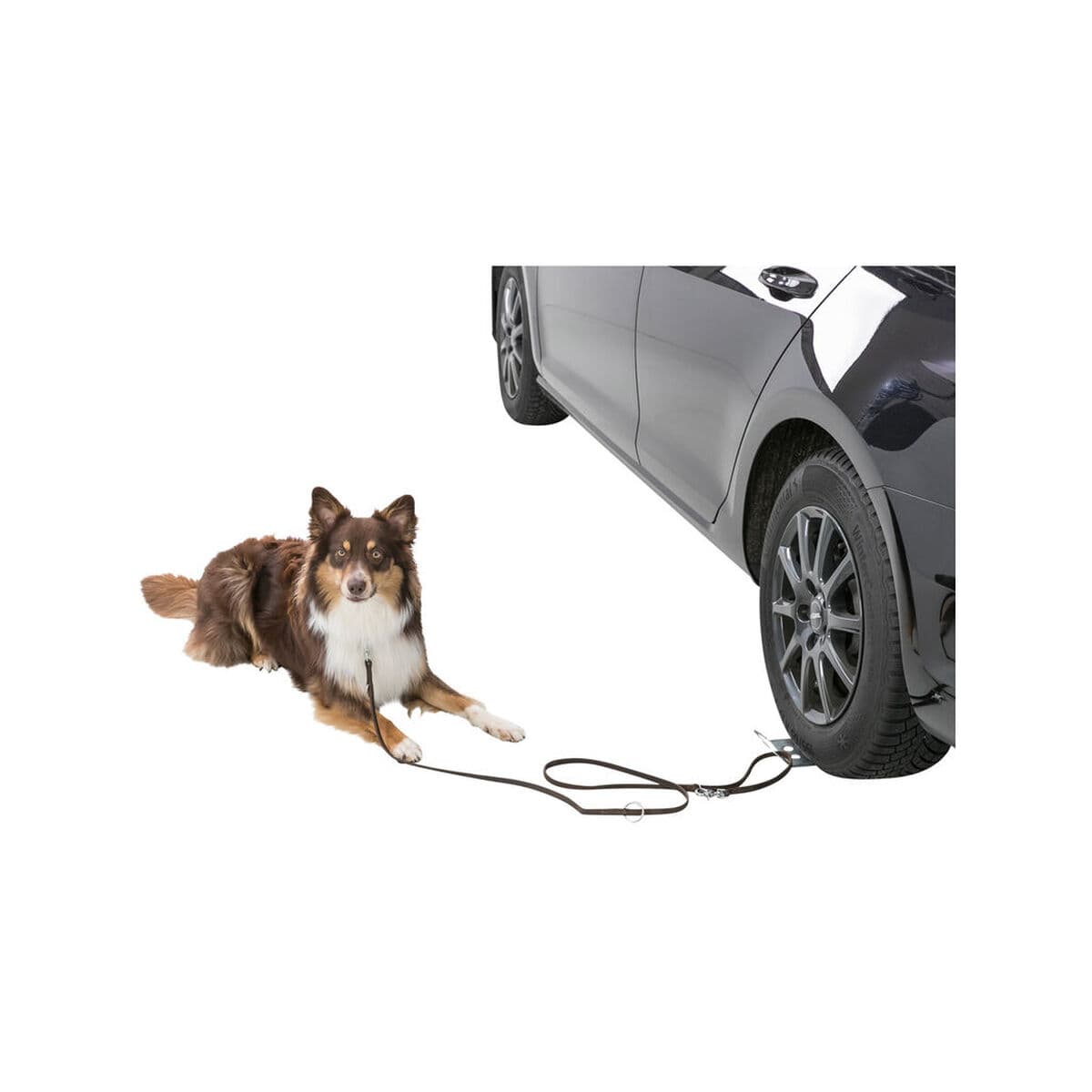 Aparca perros Trixie - Image 17