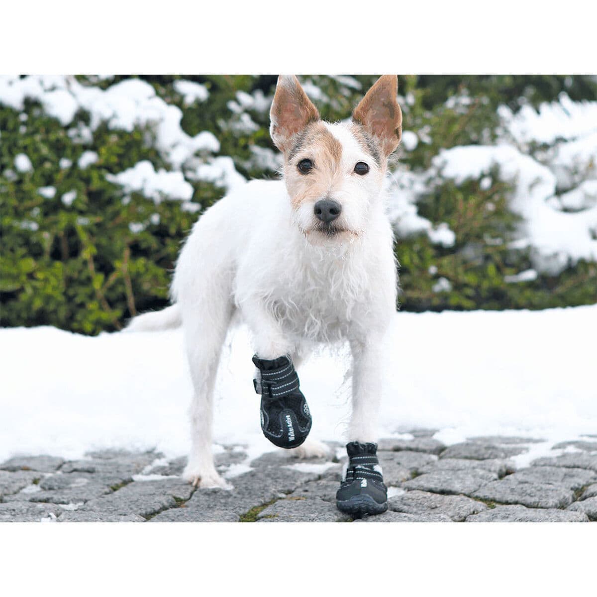 Suņa mētelis Trixie 19461 Melns - Image 3