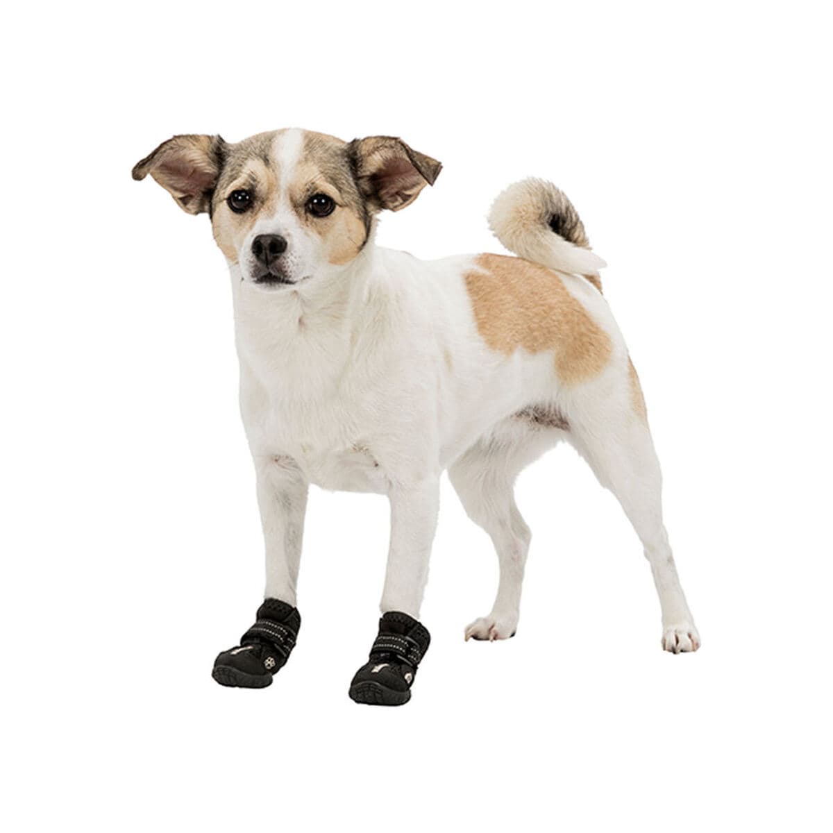 Suņa mētelis Trixie 19461 Melns - Image 5