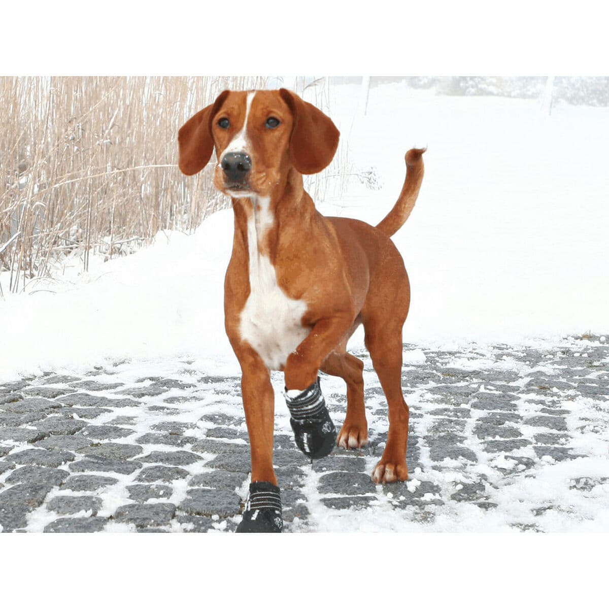 Batai Trixie 19463 Juoda M - Image 3