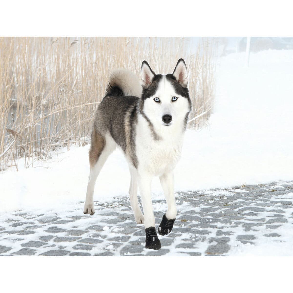 Batai Trixie 19465 Juoda L - Image 3