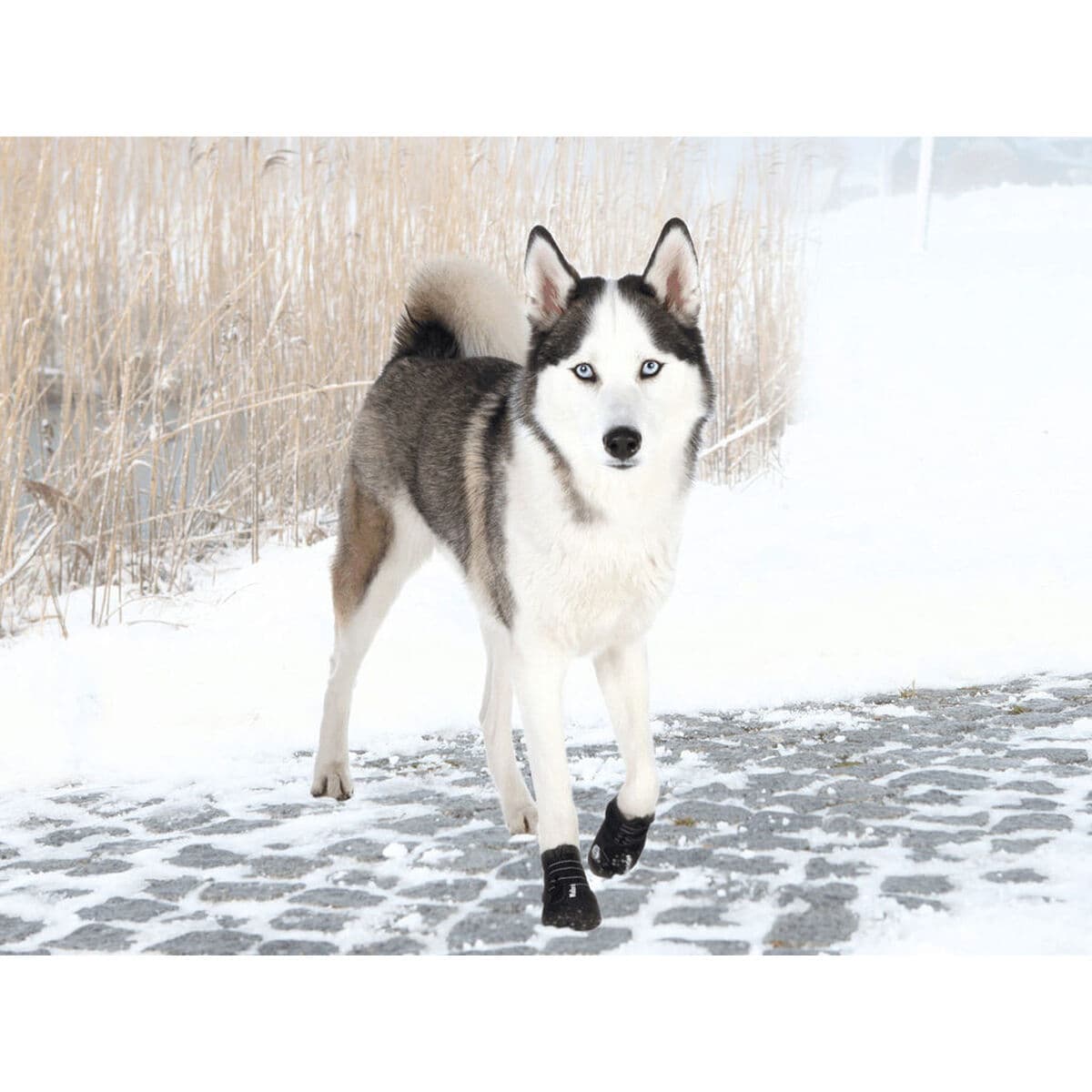 Batai Trixie Juoda L/XL - Image 3