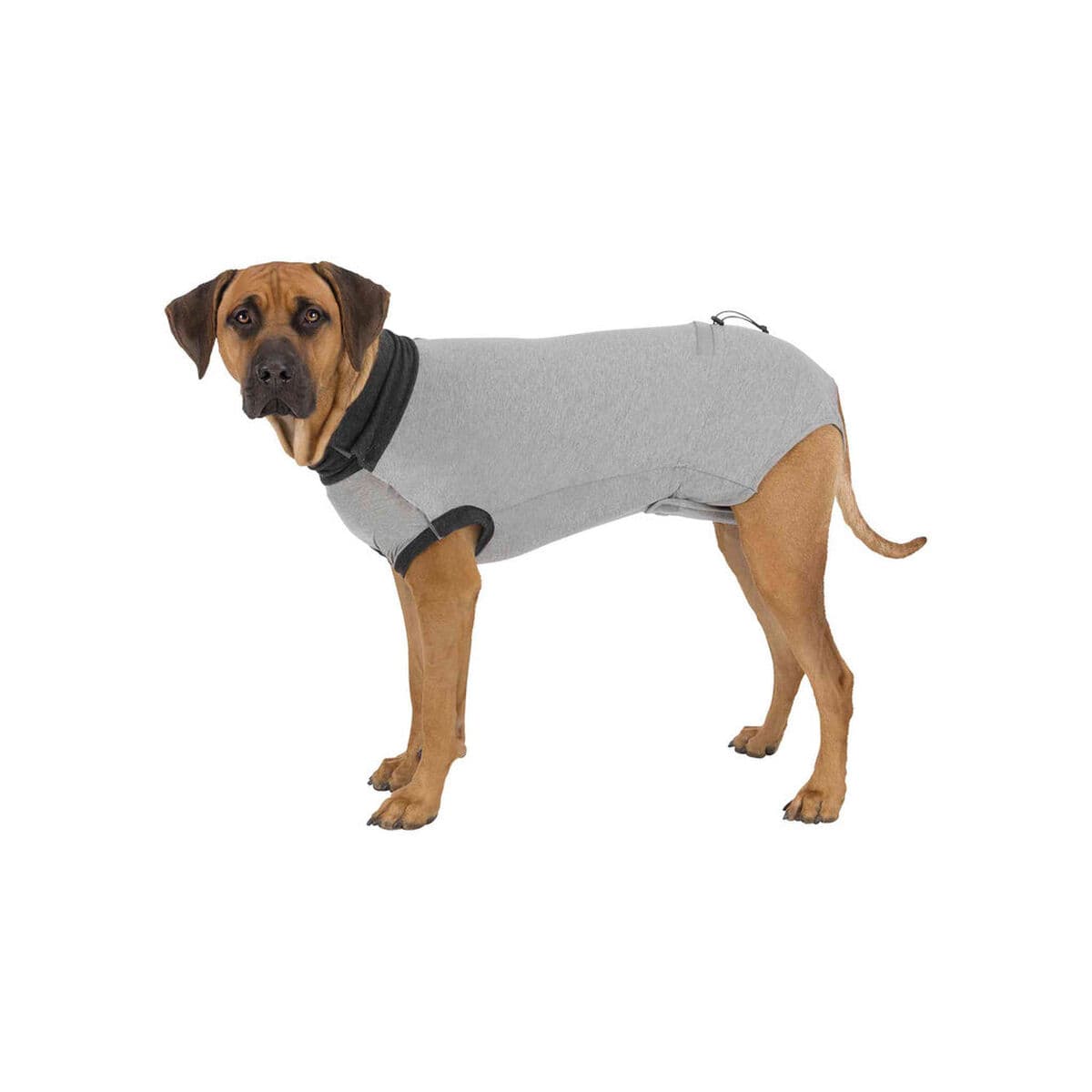 Body protector para perros Trixie - Image 3