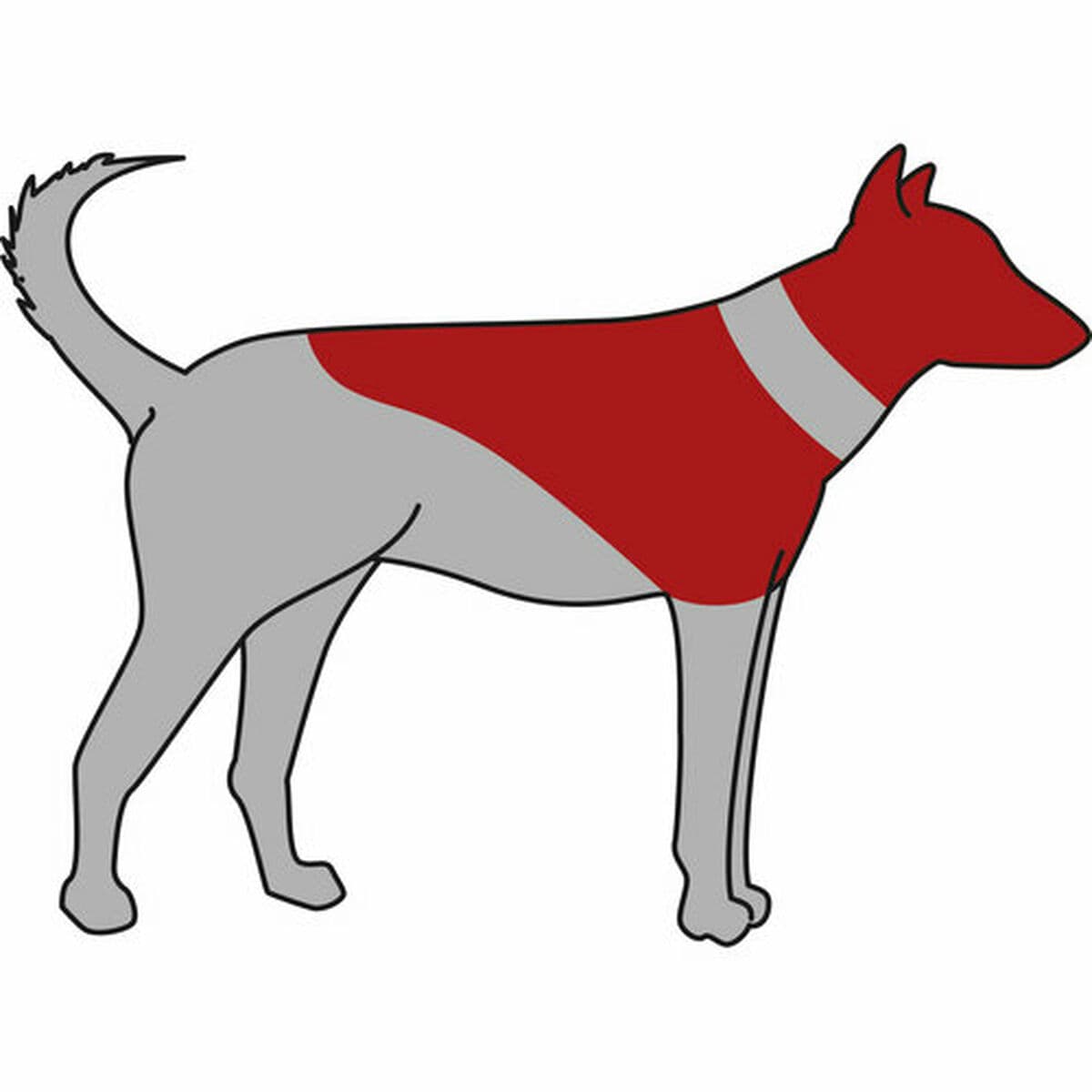 Šuns antkaklis Trixie - Image 3