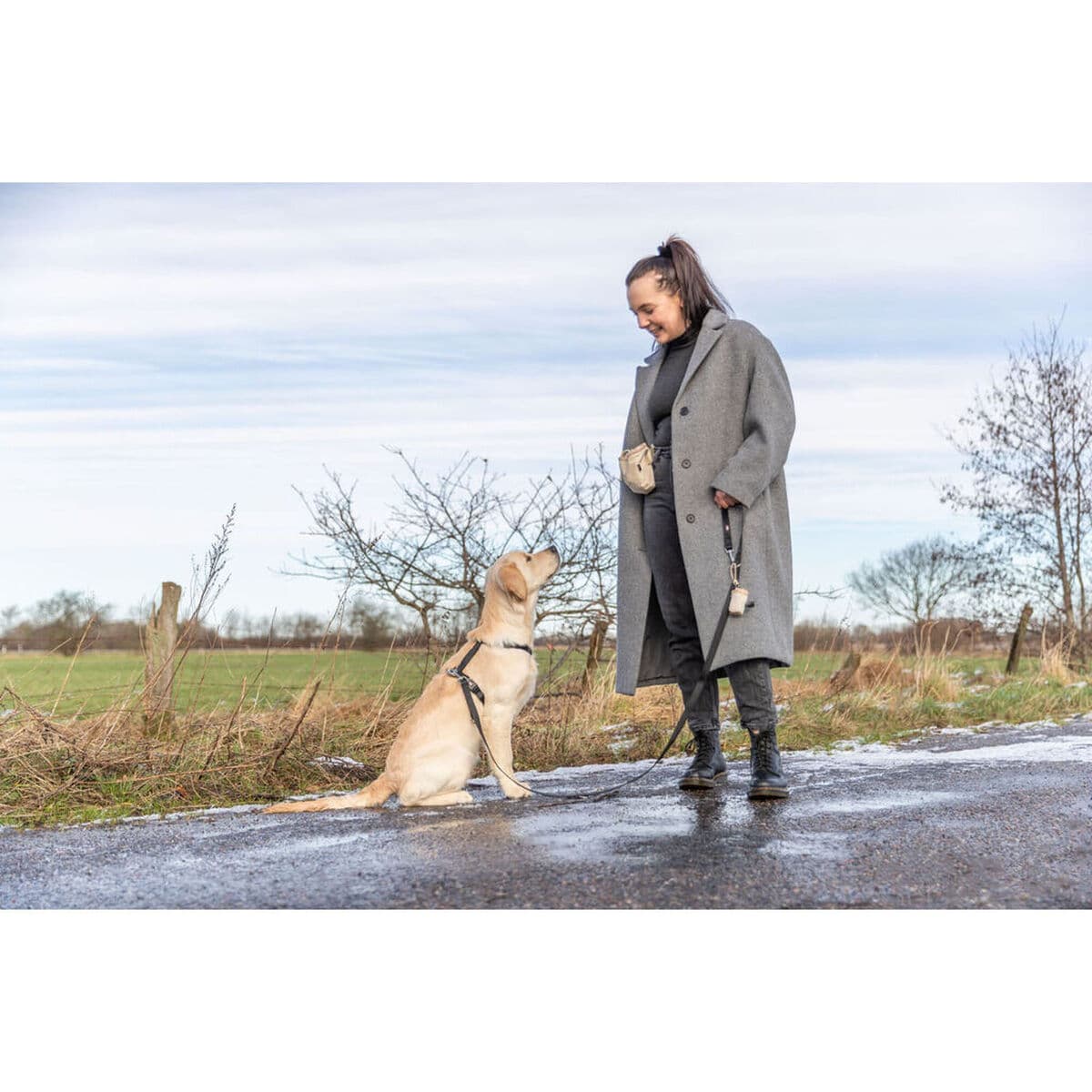 Hållare för bajspåsar Trixie Polyester - Image 17