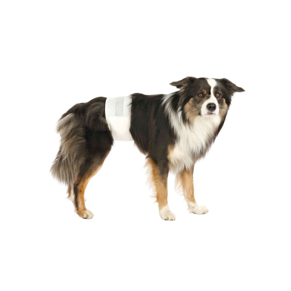 Pañales Trixie 23642 M/L 12 Unidades - Image 3