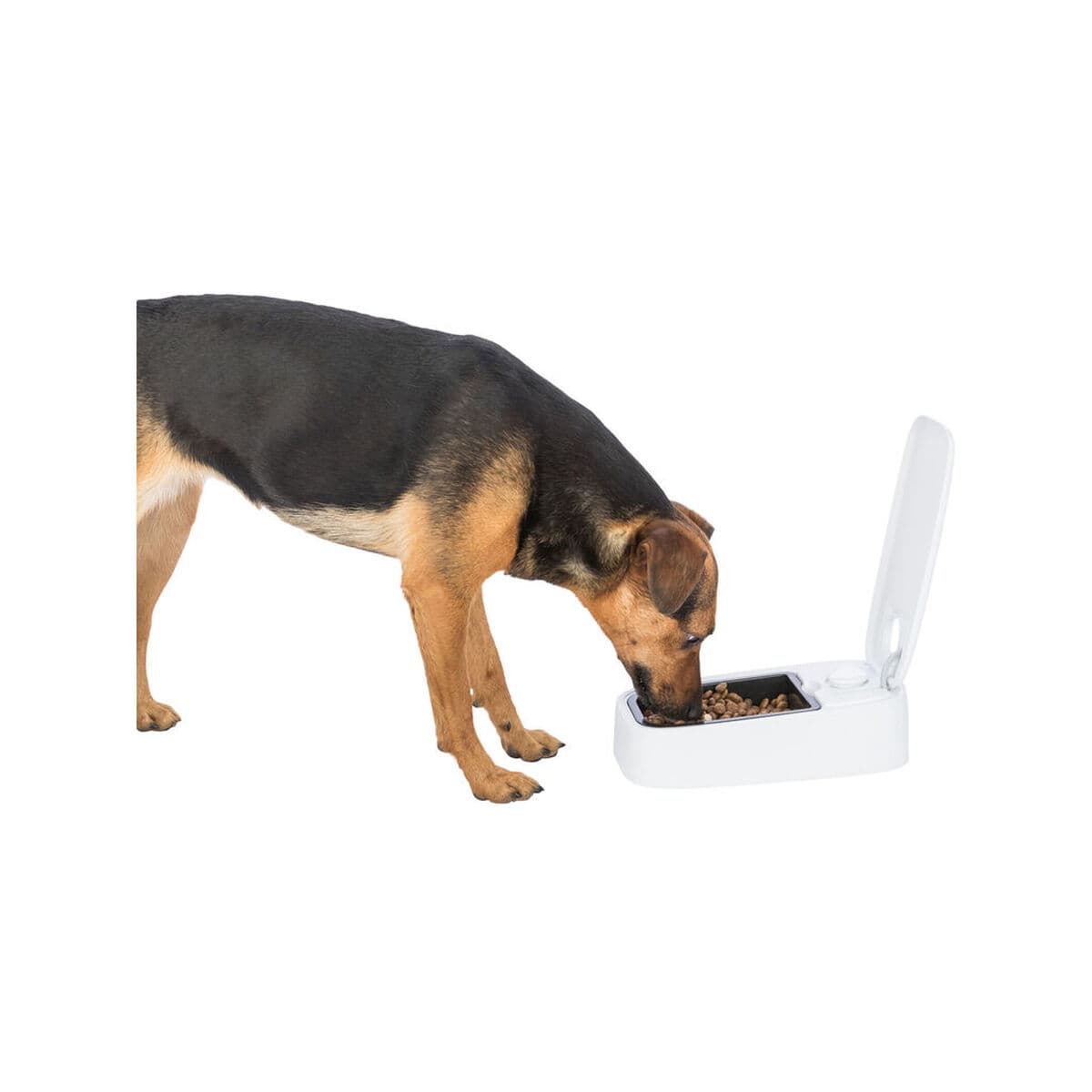 Hranilica za kućne ljubimce Trixie Bijela Crna Plastika 300 ml - Image 35