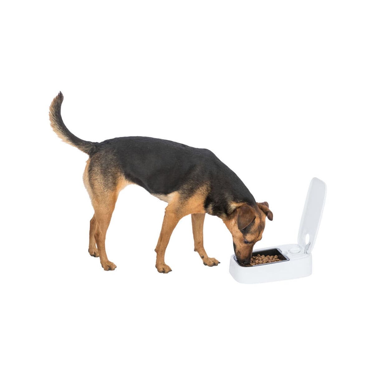 Hranilica za kućne ljubimce Trixie Bijela Crna Plastika 300 ml - Image 37