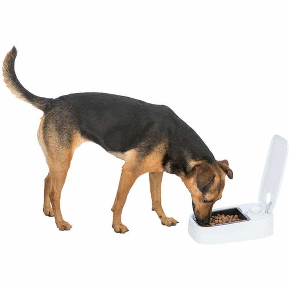 Hranilica za kućne ljubimce Trixie Bijela Crna Plastika 300 ml - Image 38