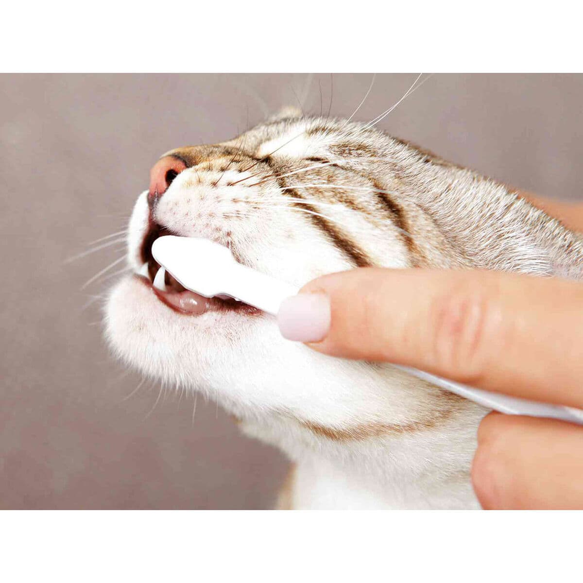 Dentífrico Trixie - Image 7