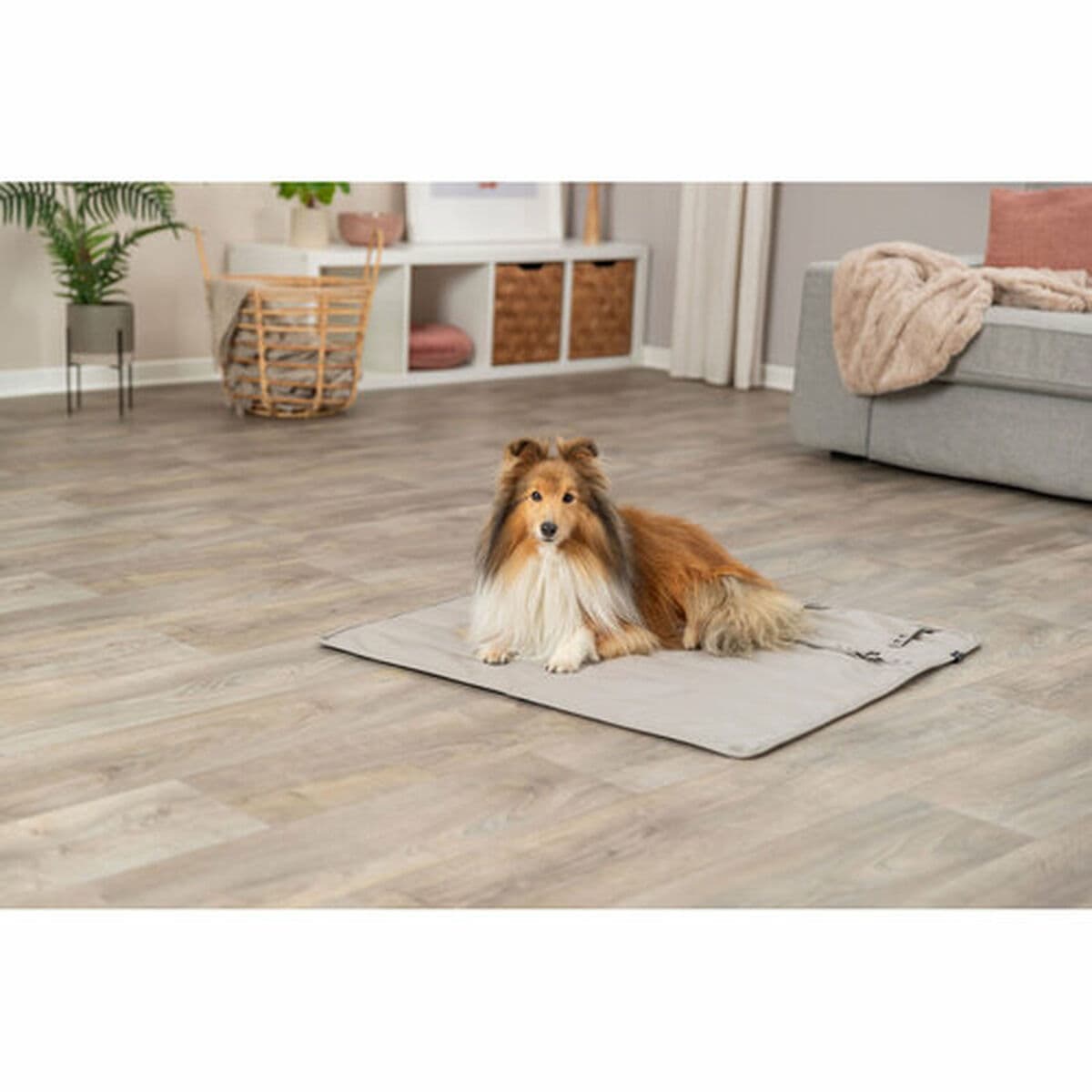 Manta para Mascotas Trixie CityStyle Gris claro Poliéster Poliuretano Piel Sintética 80 × 80 cm - Image 12