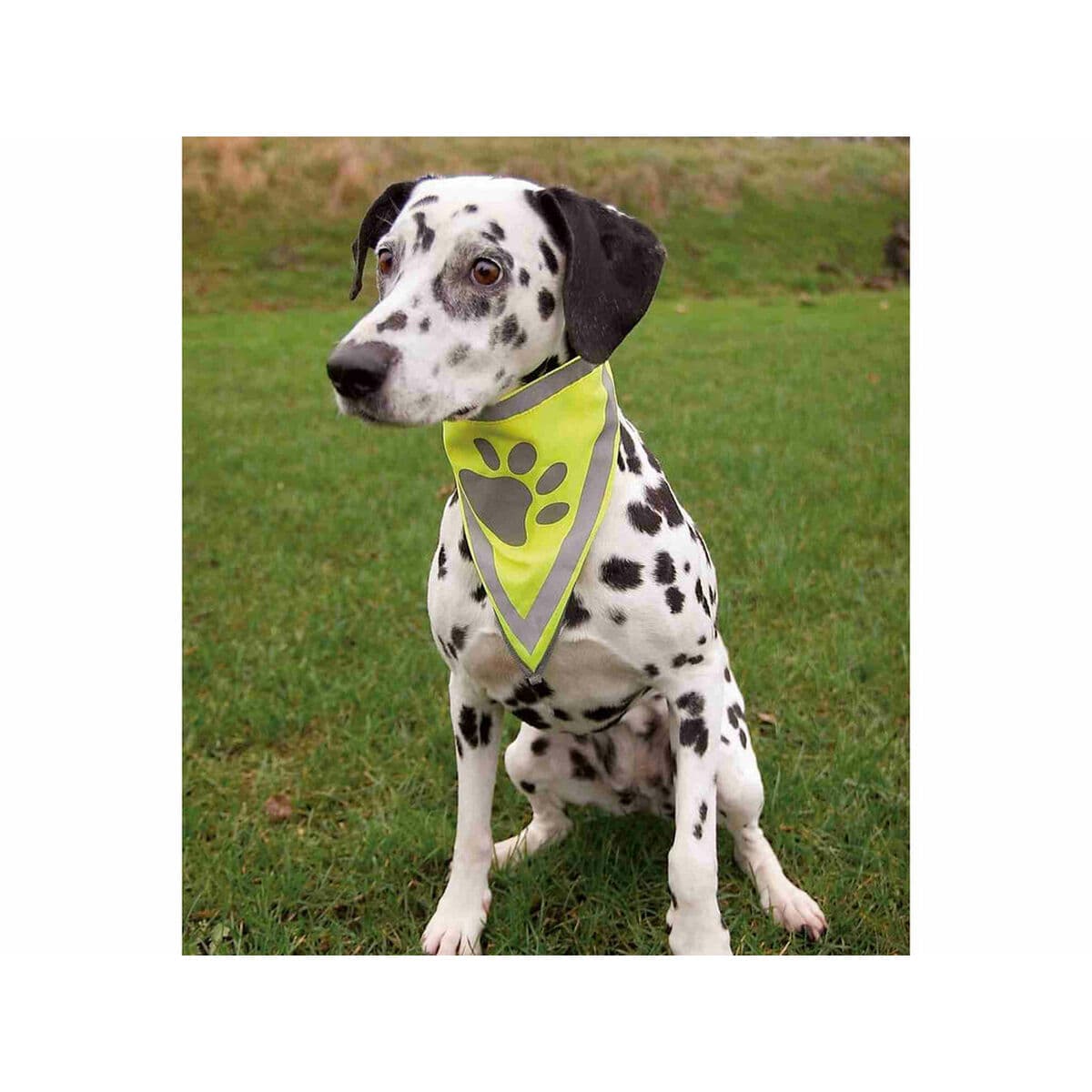 Bandana Trixie - Image 3