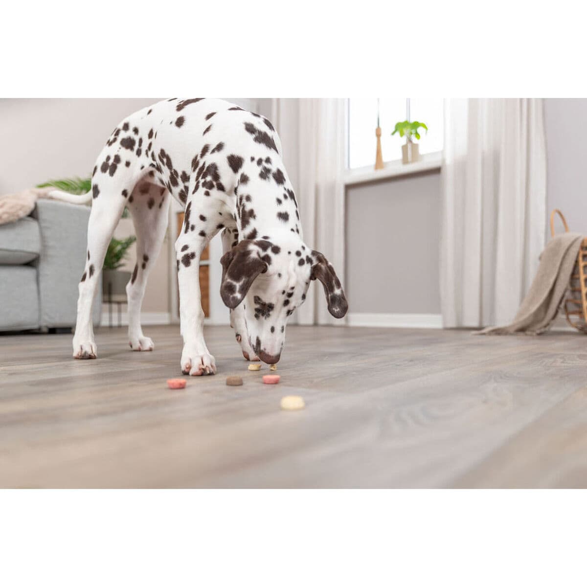 Užkandis šunims Trixie Cookie Snack Loops 1,3 kg - Image 4