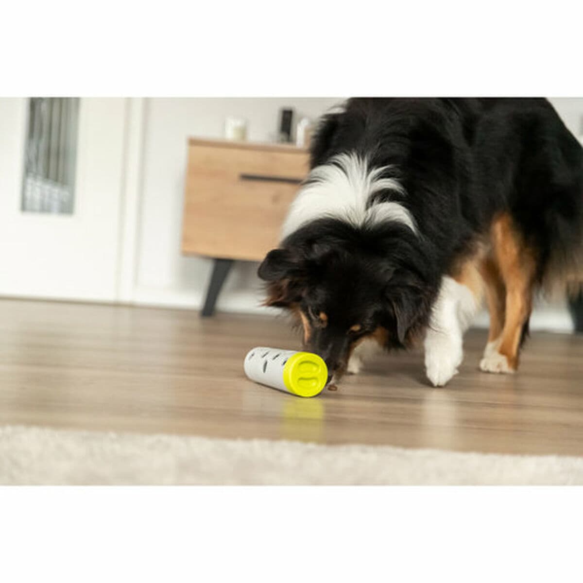 Treeningmänguasi Trixie Snacks - Image 6