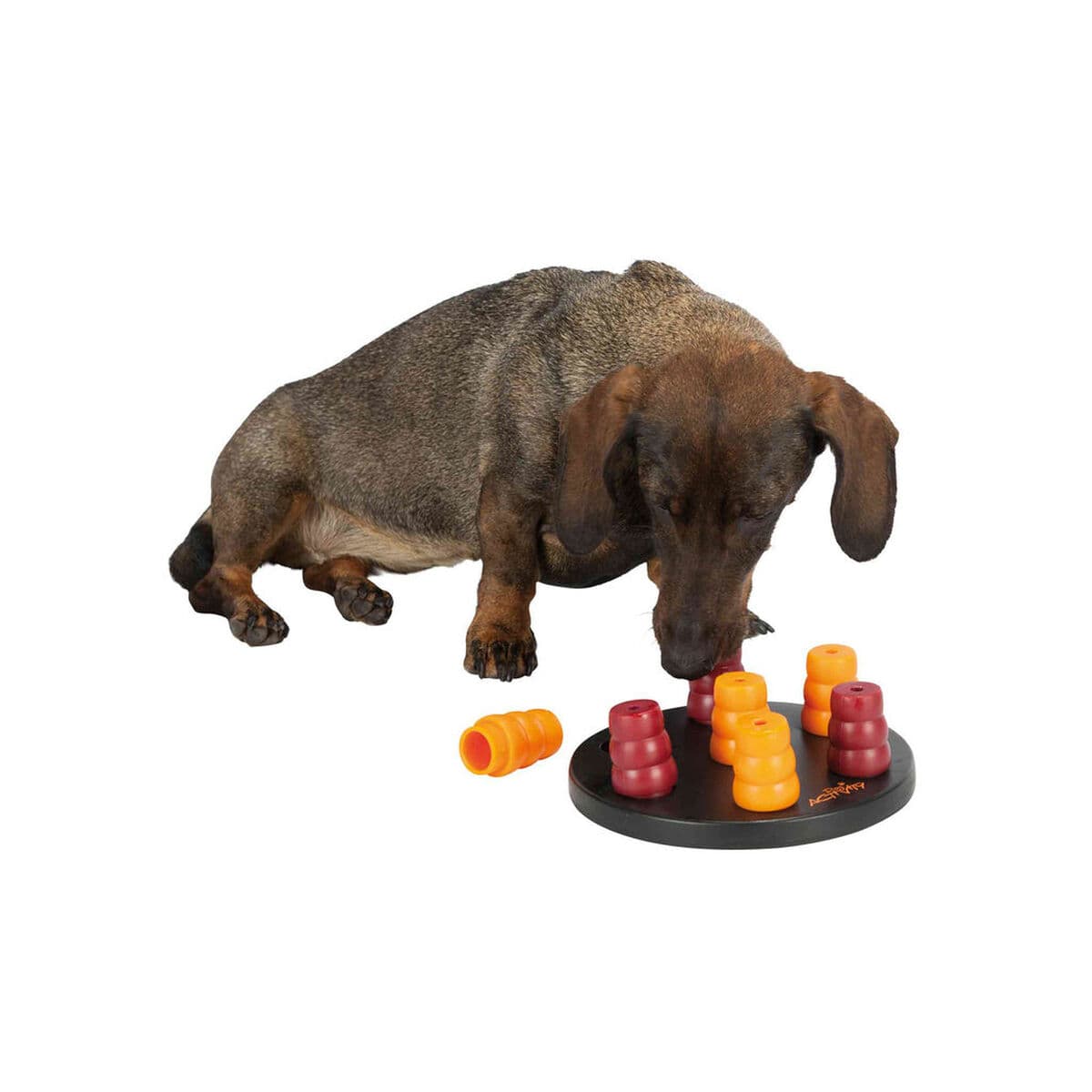 Hondenspeelgoed Trixie Mini Solitario - Image 3