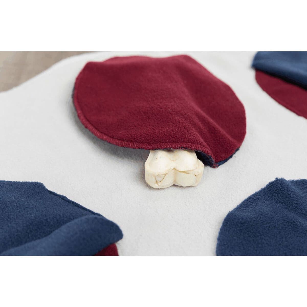 Naminių gyvūnėlių antklodė Trixie Poliesteris 70 × 70 cm - Image 21